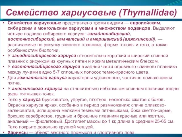 Семейство хариусовые (Thymallidae) Семейство хариусовые представлено тремя видами — европейским, сибирским