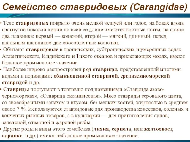 Семейство ставридовых (Carangidae) Тело ставридовых покрыто очень мелкой чешуей или голое,