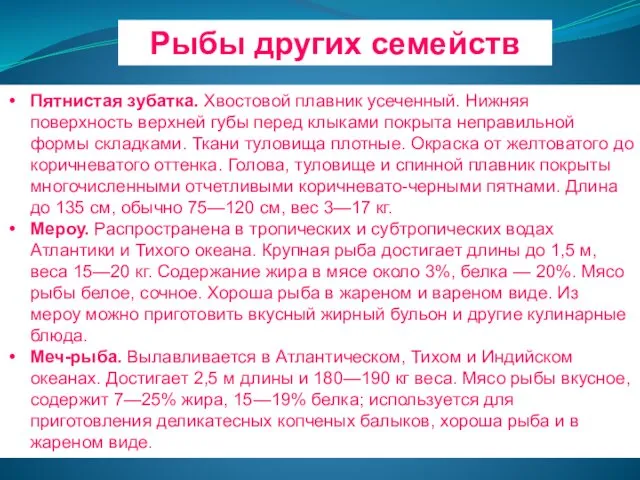 Рыбы других семейств Пятнистая зубатка. Хвостовой плавник усеченный. Нижняя поверхность верхней