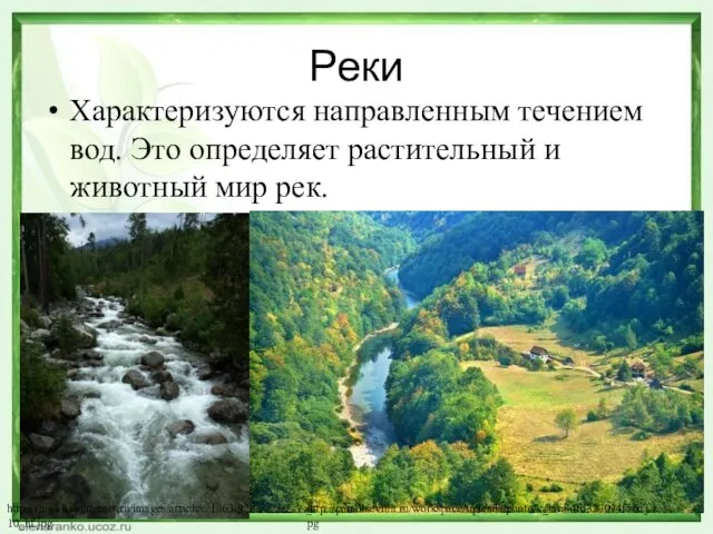 Реки Характеризуются направленным течением вод. Это определяет растительный и животный мир рек. http://img1.liveinternet.ru/images/attach/c/1//63/929/63929703_P7306310_hf.jpg http://paradisevilla.ru/workspace/uploads/photo/k_tara-4fd323094f56c.jpg