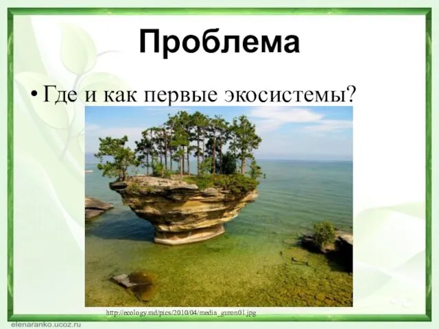 Проблема Где и как первые экосистемы? http://ecology.md/pics/2010/04/media_guron01.jpg