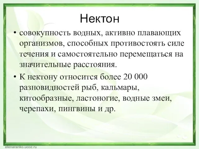 Нектон совокупность водных, активно плавающих организмов, способных противостоять силе течения и