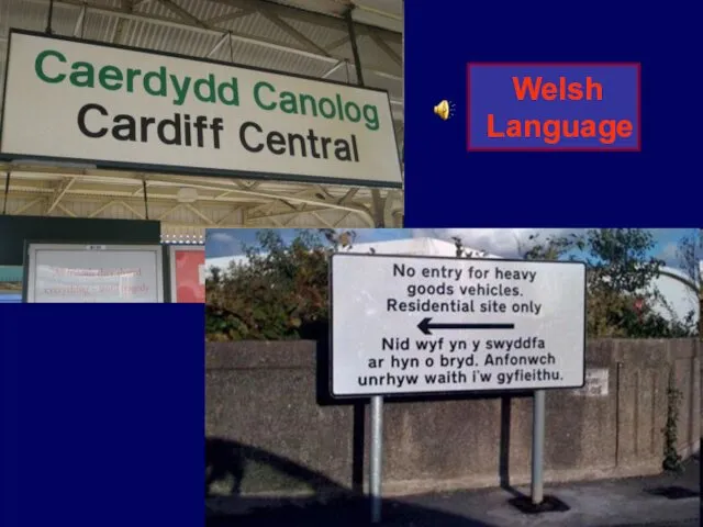 Welsh Language