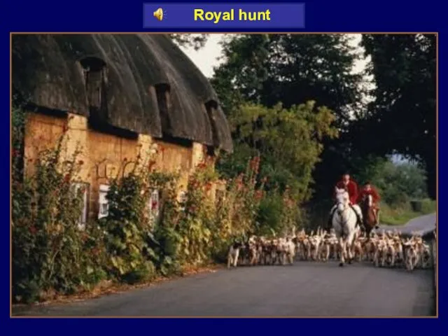 Royal hunt