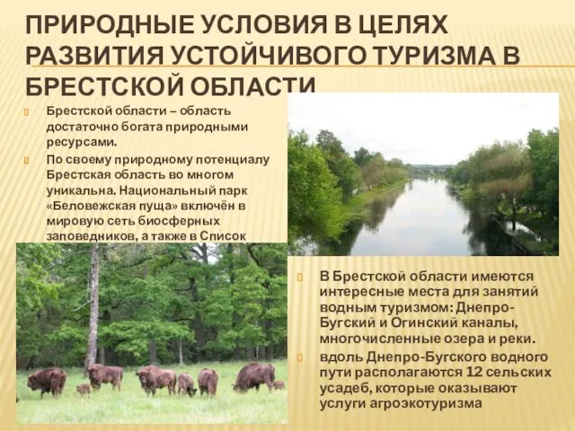 ПРИРОДНЫЕ УСЛОВИЯ В ЦЕЛЯХ РАЗВИТИЯ УСТОЙЧИВОГО ТУРИЗМА В БРЕСТСКОЙ ОБЛАСТИ Брестской