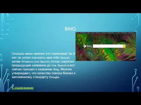 BING Сколько имен сменил это поисковик! За 8 лет он успел