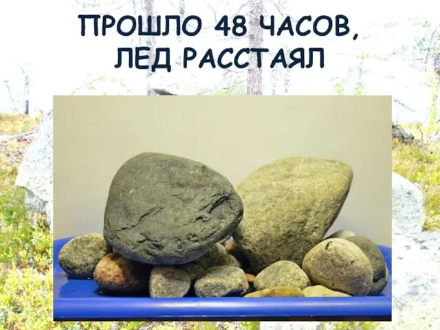 ПРОШЛО 48 ЧАСОВ, ЛЕД РАССТАЯЛ