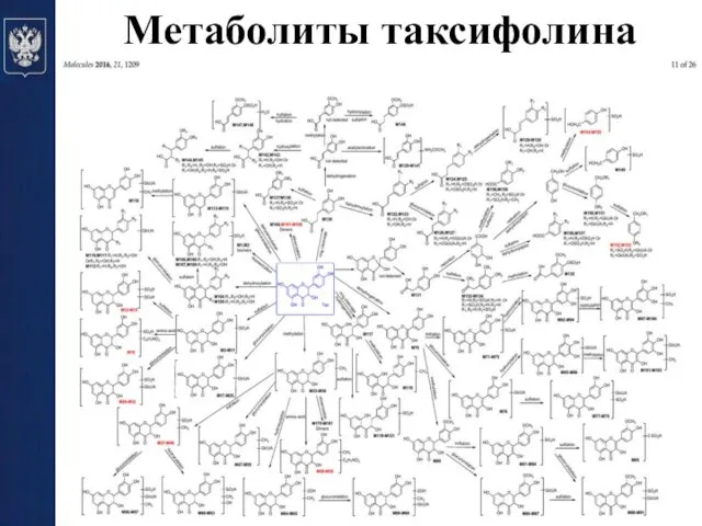 Метаболиты таксифолина