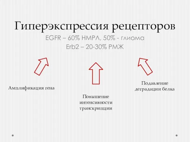 Гиперэкспрессия рецепторов EGFR – 60% НМРЛ, 50% - глиома Erb2 –