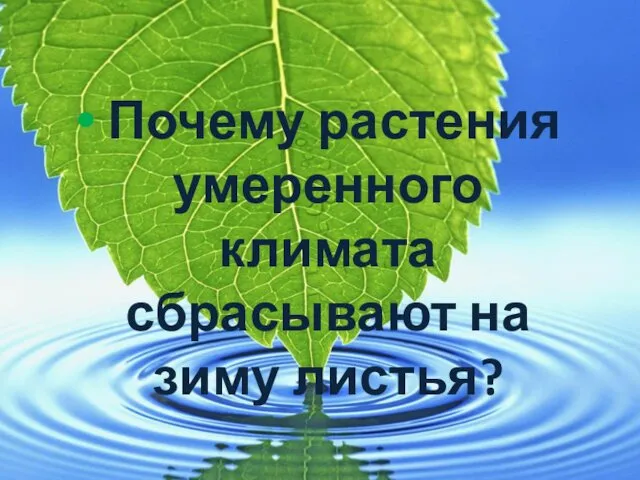 Почему растения умеренного климата сбрасывают на зиму листья?