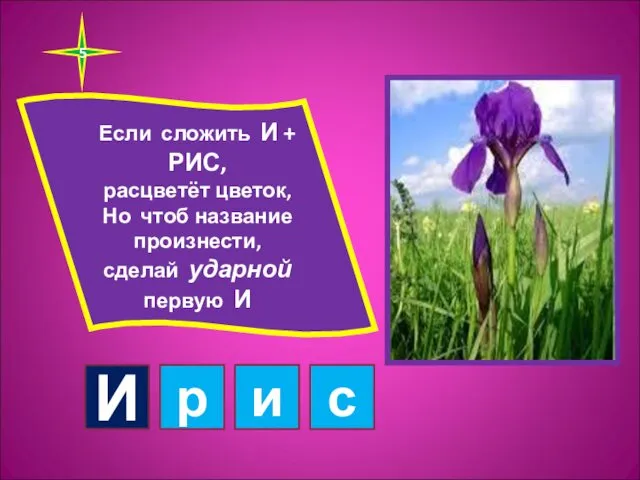 5 Если сложить И + РИС, расцветёт цветок, Но чтоб название