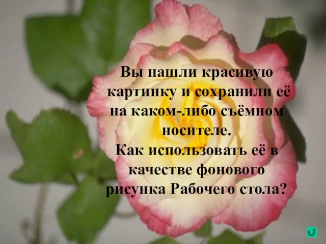 Вы нашли красивую картинку и сохранили её на каком-либо съёмном носителе.