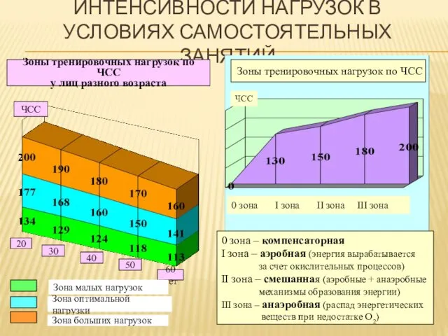 ИНТЕНСИВНОСТИ НАГРУЗОК В УСЛОВИЯХ САМОСТОЯТЕЛЬНЫХ ЗАНЯТИЙ Зоны тренировочных нагрузок по ЧСС