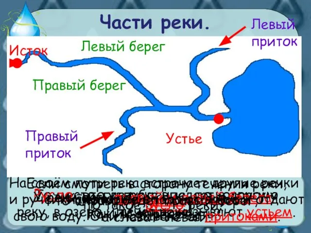 Части реки. Как называют начало реки? Исток Что такое устье реки?