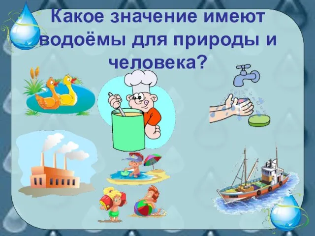 Какое значение имеют водоёмы для природы и человека?