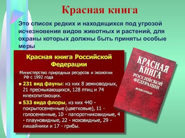 Красная книга Это список редких и находящихся под угрозой исчезновения видов