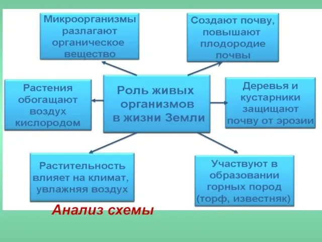 Анализ схемы