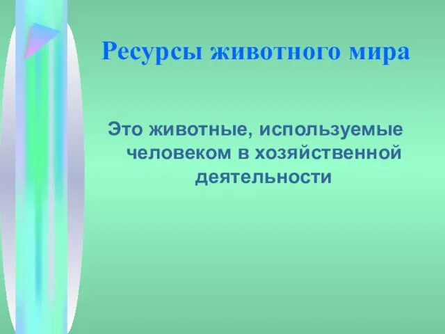 Ресурсы животного мира Это животные, используемые человеком в хозяйственной деятельности