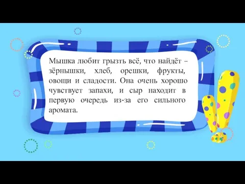 Мышка любит грызть всё, что найдёт – зёрнышки, хлеб, орешки, фрукты,