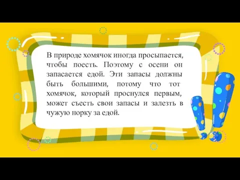 В природе хомячок иногда просыпается, чтобы поесть. Поэтому с осени он