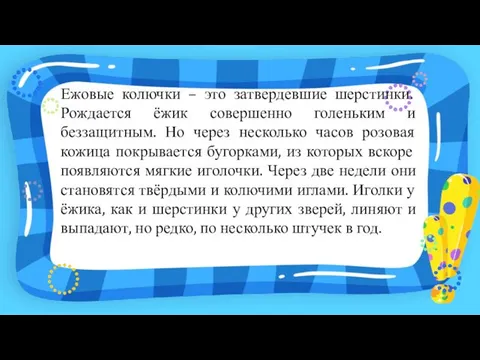 Ежовые колючки – это затвердевшие шерстинки. Рождается ёжик совершенно голеньким и