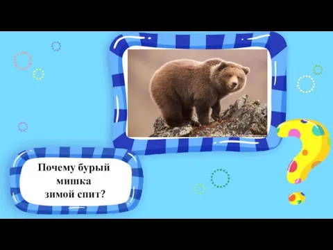 Почему бурый мишка зимой спит?