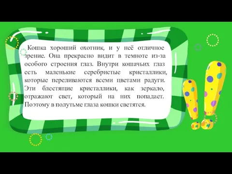 Кошка хороший охотник, и у неё отличное зрение. Она прекрасно видит