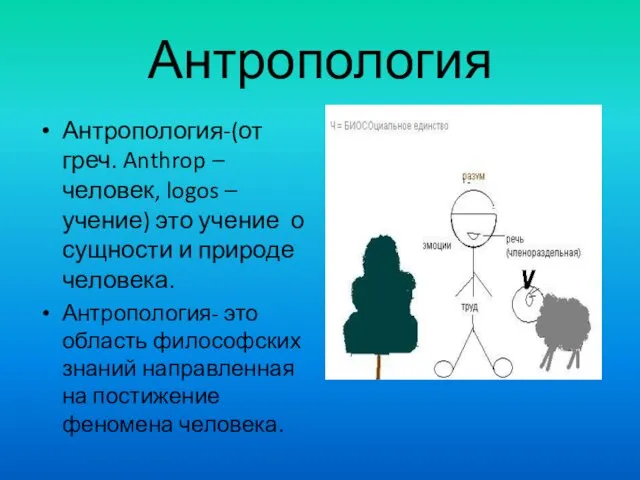 Антропология Антропология-(от греч. Anthrop – человек, logos – учение) это учение