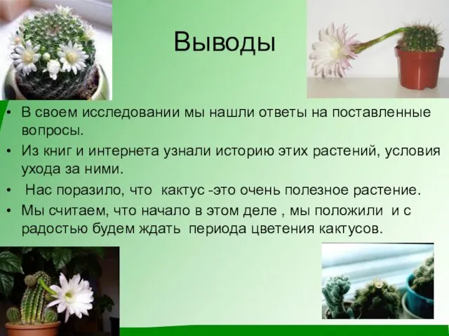 Выводы В своем исследовании мы нашли ответы на поставленные вопросы. Из