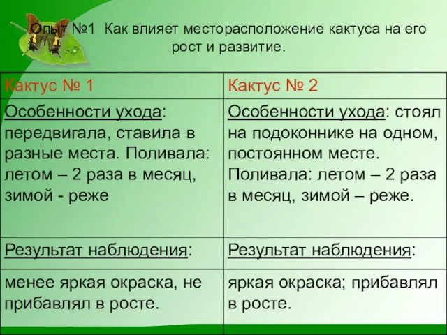 Опыт №1 Как влияет месторасположение кактуса на его рост и развитие.