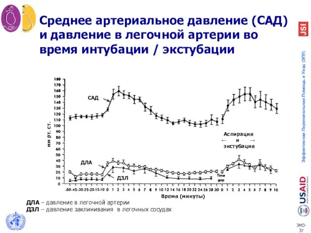 Среднее артериальное давление (САД) и давление в легочной артерии во время