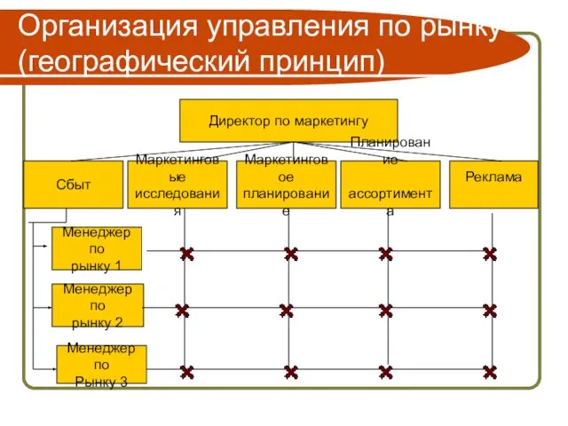 Организация управления по рынку (географический принцип) Директор по маркетингу Сбыт Маркетинговые