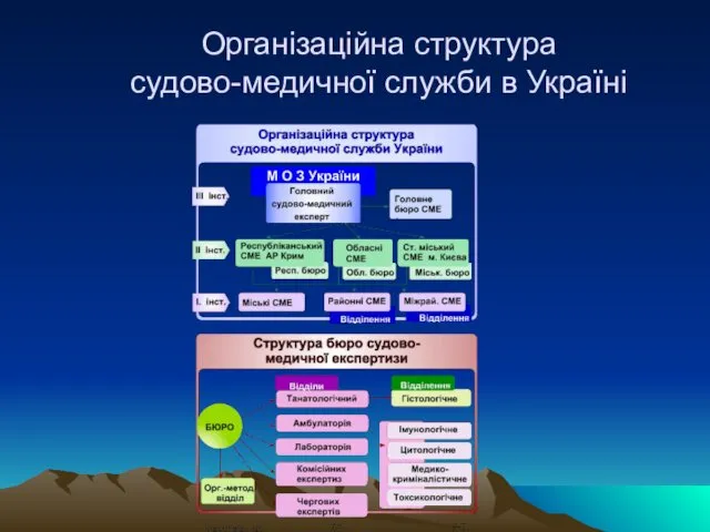 Oрганізаційна структура судово-медичної служби в Україні