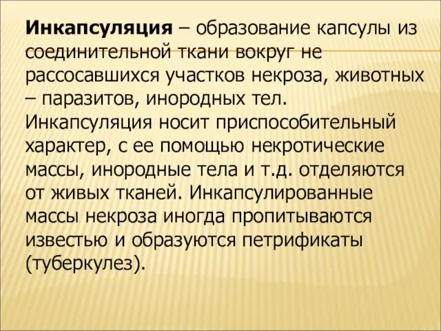 Инкапсуляция – образование капсулы из соединительной ткани вокруг не рассосавшихся участков