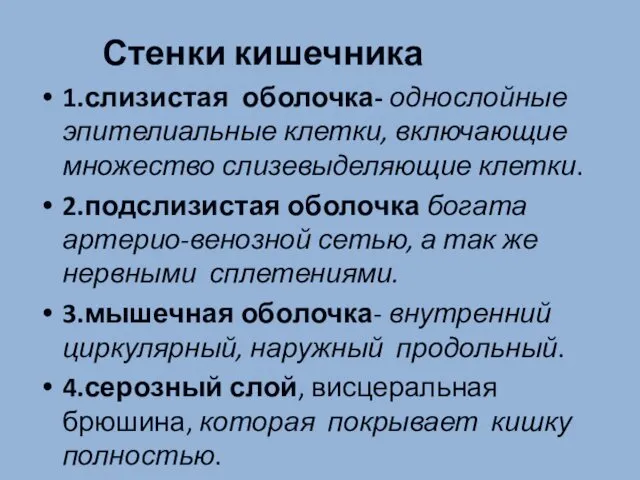 Стенки кишечника 1.слизистая оболочка- однослойные эпителиальные клетки, включающие множество слизевыделяющие клетки.