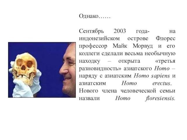 Однако…… Cентябрь 2003 года- на индонезийском острове Флорес профессор Майк Морвуд