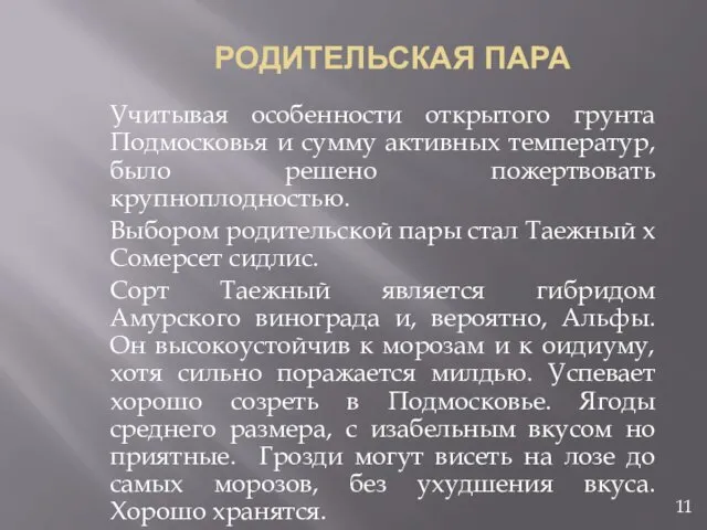 РОДИТЕЛЬСКАЯ ПАРА Учитывая особенности открытого грунта Подмосковья и сумму активных температур,