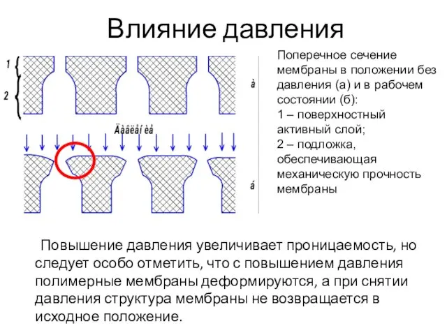 Влияние давления Повышение давления увеличивает проницаемость, но следует особо отметить, что