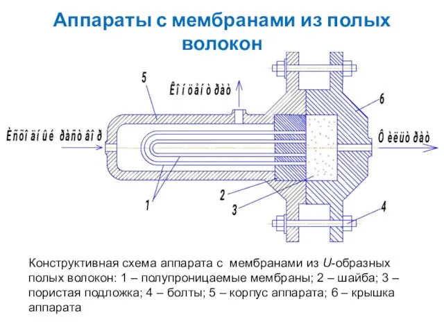 Аппараты с мембранами из полых волокон Конструктивная схема аппарата с мембранами