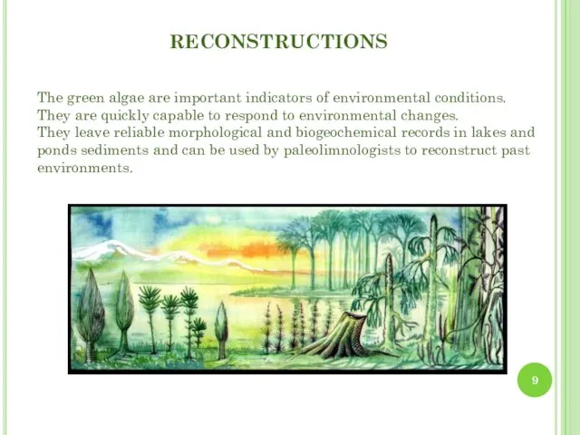 RECONSTRUCTIONS The green algae are important indicators of environmental conditions. They