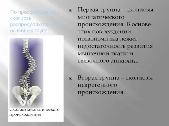 По происхождению сколиозы распределяются на 5 основных групп: Сколиоз миопатического происхождения