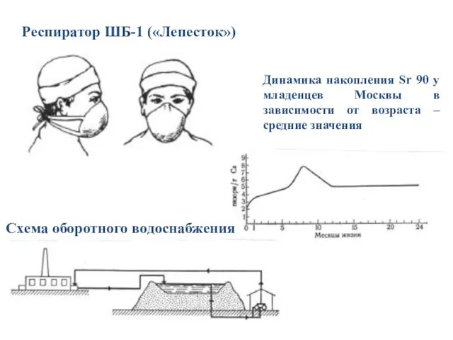 Респиратор ШБ-1 («Лепесток») Динамика накопления Sr 90 у младенцев Москвы в