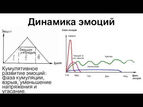 Динамика эмоций Кумулятивное развитие эмоций: фаза кумуляции, взрыв, уменьшение напряжения и угасание.