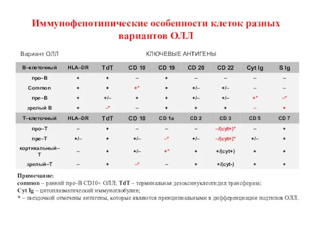 Иммунофенотипические особенности клеток разных вариантов ОЛЛ Примечание: common – ранний пре–В