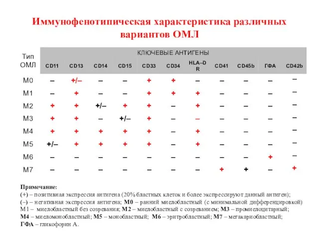 Иммунофенотипическая характеристика различных вариантов ОМЛ Примечание: (+) – позитивная экспрессия антигена