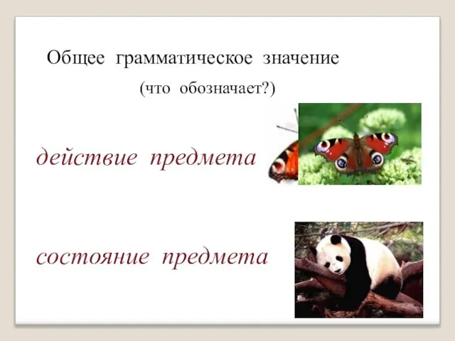 Общее грамматическое значение (что обозначает?) действие предмета состояние предмета