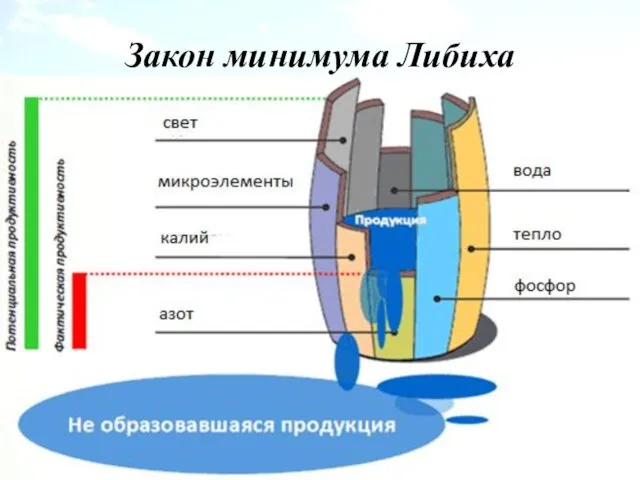 Закон минимума Либиха Закон ограничивающего (лимитирующего) фактора