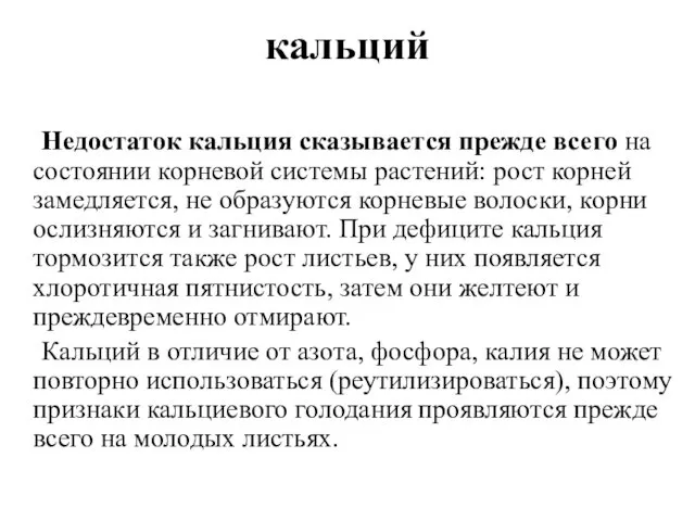 Недостаток кальция сказывается прежде всего на состоянии корневой системы растений: рост