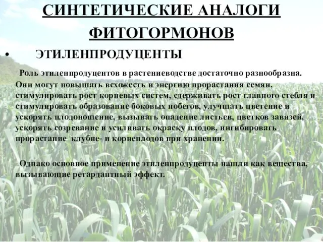 СИНТЕТИЧЕСКИЕ АНАЛОГИ ФИТОГОРМОНОВ ЭТИЛЕНПРОДУЦЕНТЫ Роль этиленпродуцентов в растениеводстве достаточно разнообразна. Они