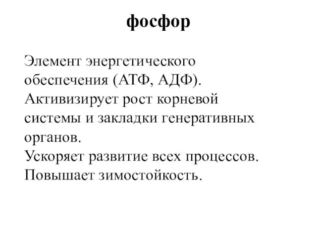 фосфор Элемент энергетического обеспечения (АТФ, АДФ). Активизирует рост корневой системы и